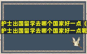 护士出国留学去哪个国家好一点（护士出国留学去哪个国家好一点呢）