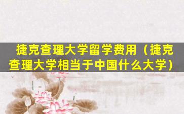 捷克查理大学留学费用（捷克查理大学相当于中国什么大学）