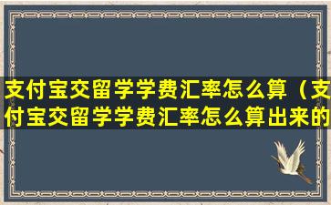 支付宝交留学学费汇率怎么算（支付宝交留学学费汇率怎么算出来的）