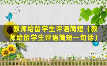 教师给留学生评语简短（教师给留学生评语简短一句话）