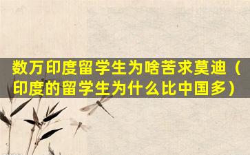 数万印度留学生为啥苦求莫迪（印度的留学生为什么比中国多）