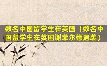 数名中国留学生在英国（数名中国留学生在英国谢菲尔德遇袭）