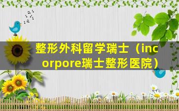整形外科留学瑞士（incorpore瑞士整形医院）