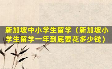 新加坡中小学生留学（新加坡小学生留学一年到底要花多少钱）