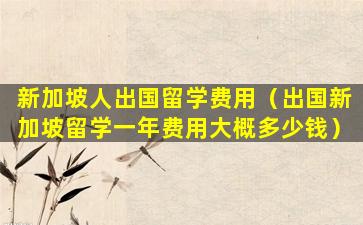 新加坡人出国留学费用（出国新加坡留学一年费用大概多少钱）