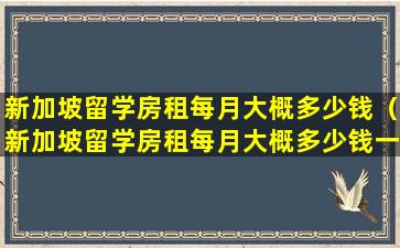 新加坡留学房租每月大概多少钱（新加坡留学房租每月大概多少钱一个月）
