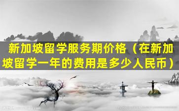 新加坡留学服务期价格（在新加坡留学一年的费用是多少人民币）