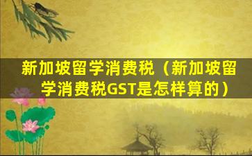 新加坡留学消费税（新加坡留学消费税GST是怎样算的）