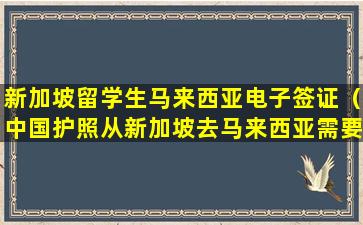 新加坡留学生马来西亚电子签证（中国护照从新加坡去马来西亚需要签证吗）