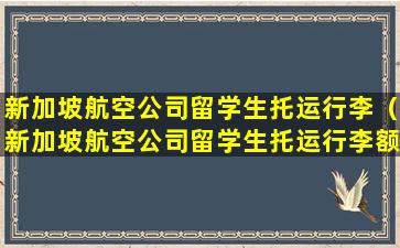 新加坡航空公司留学生托运行李（新加坡航空公司留学生托运行李额40公斤可以几件）