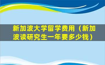 新加波大学留学费用（新加波读研究生一年要多少钱）
