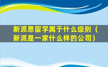 新派思留学属于什么级别（新派是一家什么样的公司）