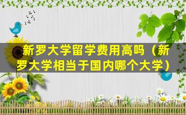 新罗大学留学费用高吗（新罗大学相当于国内哪个大学）
