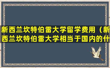 新西兰坎特伯雷大学留学费用（新西兰坎特伯雷大学相当于国内的什么大学）