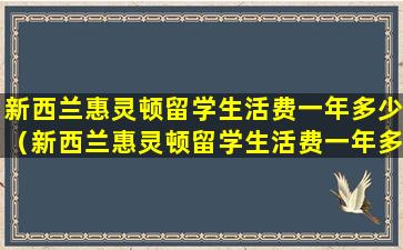 新西兰惠灵顿留学生活费一年多少（新西兰惠灵顿留学生活费一年多少钱）