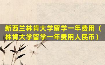 新西兰林肯大学留学一年费用（林肯大学留学一年费用人民币）