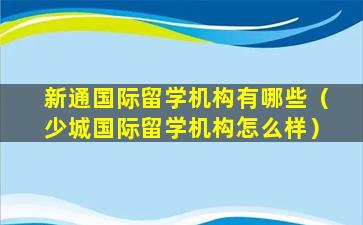 新通国际留学机构有哪些（少城国际留学机构怎么样）