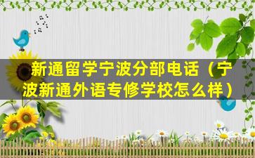 新通留学宁波分部电话（宁波新通外语专修学校怎么样）