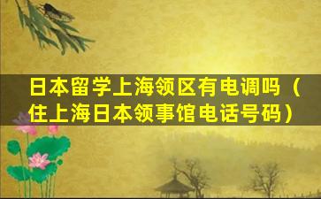 日本留学上海领区有电调吗（住上海日本领事馆电话号码）