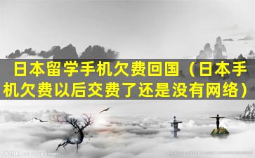 日本留学手机欠费回国（日本手机欠费以后交费了还是没有网络）