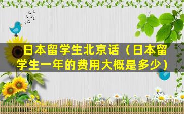 日本留学生北京话（日本留学生一年的费用大概是多少）