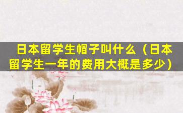日本留学生帽子叫什么（日本留学生一年的费用大概是多少）