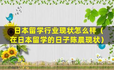 日本留学行业现状怎么样（在日本留学的日子陈晨现状）