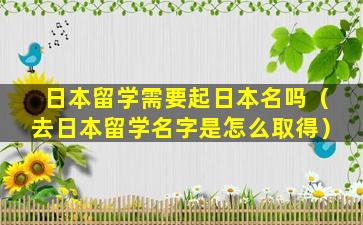 日本留学需要起日本名吗（去日本留学名字是怎么取得）