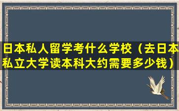 日本私人留学考什么学校（去日本私立大学读本科大约需要多少钱）