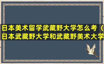 日本美术留学武藏野大学怎么考（日本武藏野大学和武藏野美术大学哪个好）