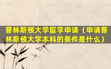 普林斯顿大学留学申请（申请普林斯顿大学本科的条件是什么）