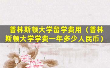 普林斯顿大学留学费用（普林斯顿大学学费一年多少人民币）