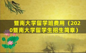 暨南大学留学班费用（2020暨南大学留学生招生简章）