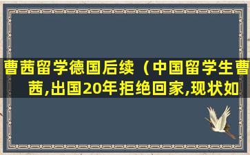 曹茜留学德国后续（中国留学生曹茜,出国20年拒绝回家,现状如何）