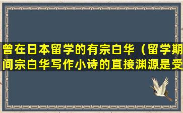 曾在日本留学的有宗白华（留学期间宗白华写作小诗的直接渊源是受谁的影响）