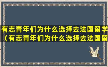有志青年们为什么选择去法国留学（有志青年们为什么选择去法国留学呢）