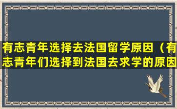 有志青年选择去法国留学原因（有志青年们选择到法国去求学的原因是什么）