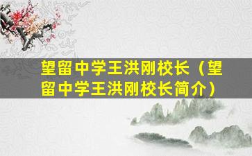 望留中学王洪刚校长（望留中学王洪刚校长简介）