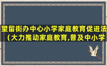 望留街办中心小学家庭教育促进法（大力推动家庭教育,普及中小学家长）