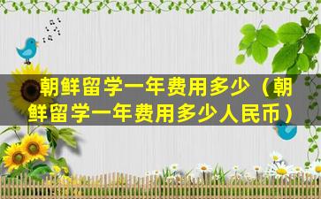 朝鲜留学一年费用多少（朝鲜留学一年费用多少人民币）