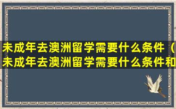 未成年去澳洲留学需要什么条件（未成年去澳洲留学需要什么条件和手续）