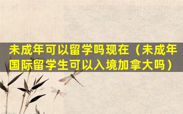 未成年可以留学吗现在（未成年国际留学生可以入境加拿大吗）