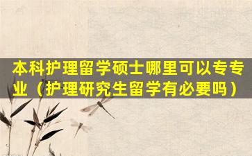 本科护理留学硕士哪里可以专专业（护理研究生留学有必要吗）