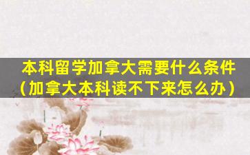 本科留学加拿大需要什么条件（加拿大本科读不下来怎么办）