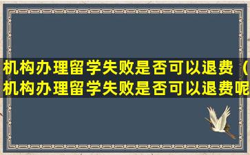 机构办理留学失败是否可以退费（机构办理留学失败是否可以退费呢）