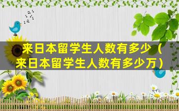 来日本留学生人数有多少（来日本留学生人数有多少万）
