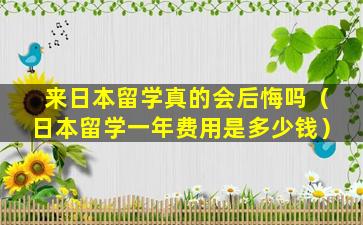 来日本留学真的会后悔吗（日本留学一年费用是多少钱）