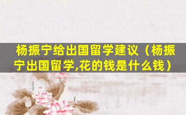 杨振宁给出国留学建议（杨振宁出国留学,花的钱是什么钱）