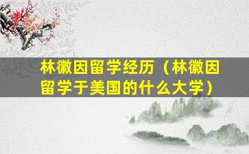 林徽因留学经历（林徽因留学于美国的什么大学）