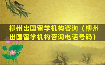 柳州出国留学机构咨询（柳州出国留学机构咨询电话号码）